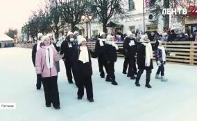 Парад Дедов Морозов и открытие катка с искусственным льдом: как прошла акция «Встречаем Новый год в Гатчине!»