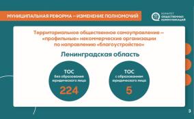 В Ленобласти могут ввести гранты для ТОСов