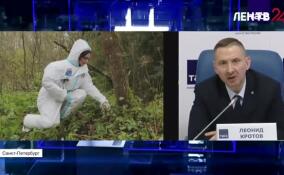 Выходы диких животных к людям имеют сезонную динамику