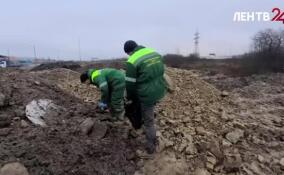 Инспекторы проверили водоохранную зону у реки Утка на границе Петербурга и Ленобласти