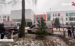 Поножовщина в школах Подмосковья и Петербурга: в чем связь происшествий и причины жестокости подростков?