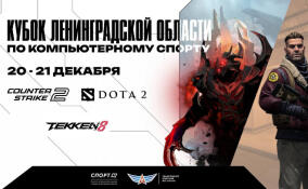 В Ленобласти пройдет Кубок региона по компьютерному спорту