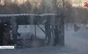 Амурский тигр взял в заложники жителей села в Хабаровском крае