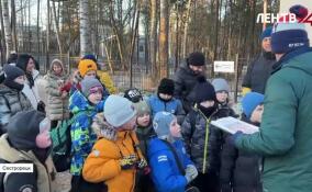 Не сбиться с пути: дети изучают безопасность через квест-путешествие