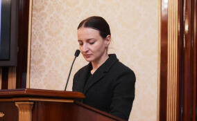 Более 2 000 земельных участков предоставлено льготникам в Ленобласти в 2025 году