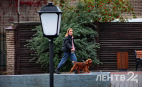 Гребень антициклона прекратит осадки в Ленобласти