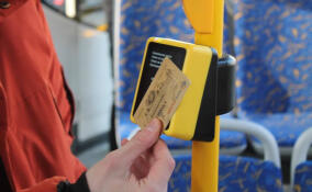 Жителям Ленобласти напомнили правила расчета за проезд в случае технических сбоев