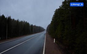 Дорожники обновили 11-километровый участок дороги Копорье – Ручьи