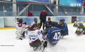 Следж-хоккей в Колтушах