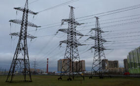 Энергетики повысили надежность электроснабжения 8,5 тысячи жителей Ломоносовского района