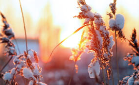Облачную погоду с прояснениями прогнозируют синоптики 19 декабря в Ленобласти