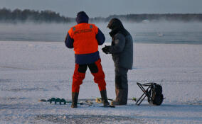 В Ленобласти два рыбака погибли, провалившись под лёд
