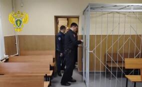 В Гатчине арестован мужчина за истязание 6-летнего ребёнка