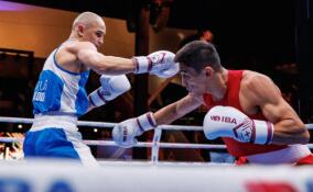 Бокс, теннис и бег: о спортивных выходных в Ленобласти