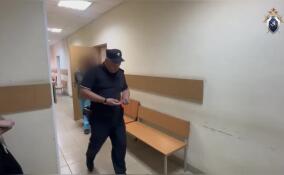 Во Всеволожске мать будут судить за покушение на убийство новорожденного