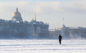 Синоптик Шувалов рассказал, какую погоду ожидать в конце декабря в Петербурге