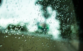 Декабрьская оттепель: в субботу Ленобласть накроют дожди и мокрый снег