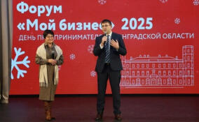 Финансовый импульс: в Ленобласти каждый четвертый бизнес получил господдержку в 2025 году