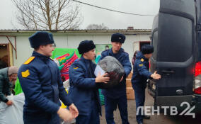 «Ленинградский доброволец» организовал масштабную отправку подарков для жителей Донбасса