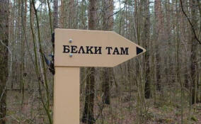 С указателя в экопарке Отрадного похитили белку накануне всероссийского полуфинала