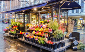 В Парголово грабитель избил флориста ради букета за 10 тысяч рублей