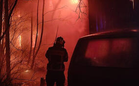 Ленинградские спасатели за сутки отреагировали на 11 происшествий