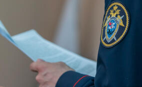 В Ленобласти арестовали подростка после нападения на бабушку и дедушку