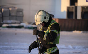 В Каменке иномарка влетела в дерево и загорелась