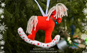 День рождения новогодней елки торжественно отметили в Тосно