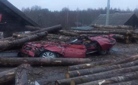 Два человека погибли в страшной аварии с лесовозом на трассе Петербург–Петрозаводск