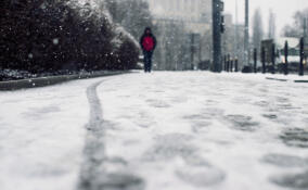 Снег и дождь ожидаются в Ленинградской области 22 декабря