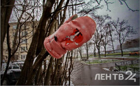 Небольшой снег и до -16 градусов: о погоде в Ленобласти 23 декабря