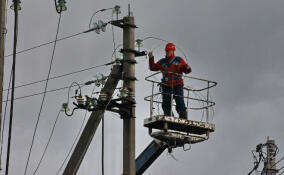 «Россети Ленэнерго» выявили 263 км незаконных подвесов линий связи в Ленобласти