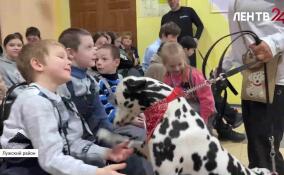Собаки-терапевты породы далматин приехали к воспитанникам Толмачевского ресурсного центра