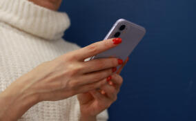 В Петербурге возможны перебои с интернетом из-за саммита ЕАЭС