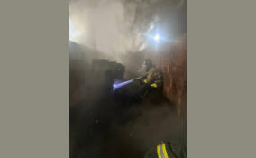 За сутки в Ленобласти ликвидировано семь пожаров