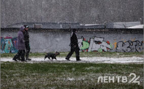 Снежно и до -8 градусов: о погоде в Ленобласти 23 декабря