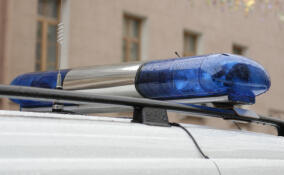 Два грузовика и легковушка столкнулись на дороге в Энколово