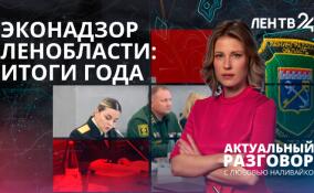 Эконадзор Ленобласти подвел итоги 2025 года