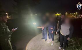 В Гатчине будут судить женщину, до смерти забившую знакомого вилами и лопатой