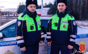 В Луге задержали водителя квадроцикла, сбившего сотрудника ДПС