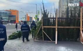В Петербурге продолжаются рейды по пресечению незаконной торговли новогодними деревьями