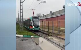 В Петербурге запустили трамвайную линию «Славянка»