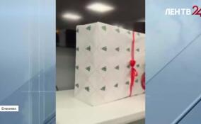 Воспитанники школы-интерната Енакиево получили подарки от ленинградского Деда Мороза