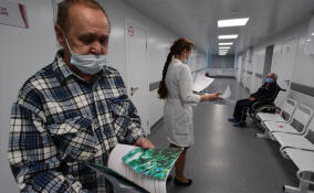 В Сосновом Бору за неделю на 50% выросло число заболевших ОРВИ