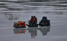 С начала декабря на водоемах Ленобласти погибли семь человек
