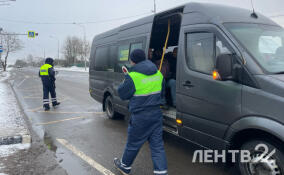Два нелегальных автобуса остановили на маршруте Ивангород — Петербург