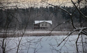 Мокрый снег и гололедица: прогноз погоды в Ленобласти на 25 декабря