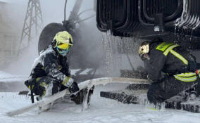 За сутки в Ленобласти потушено девять пожаров