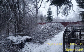 В Гатчинском округе ликвидировали нелегальную свалку